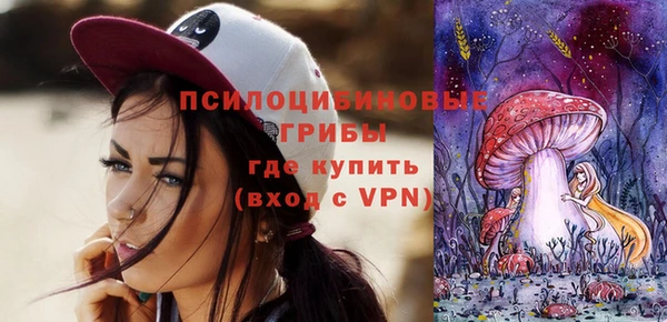 прущий лед Алзамай
